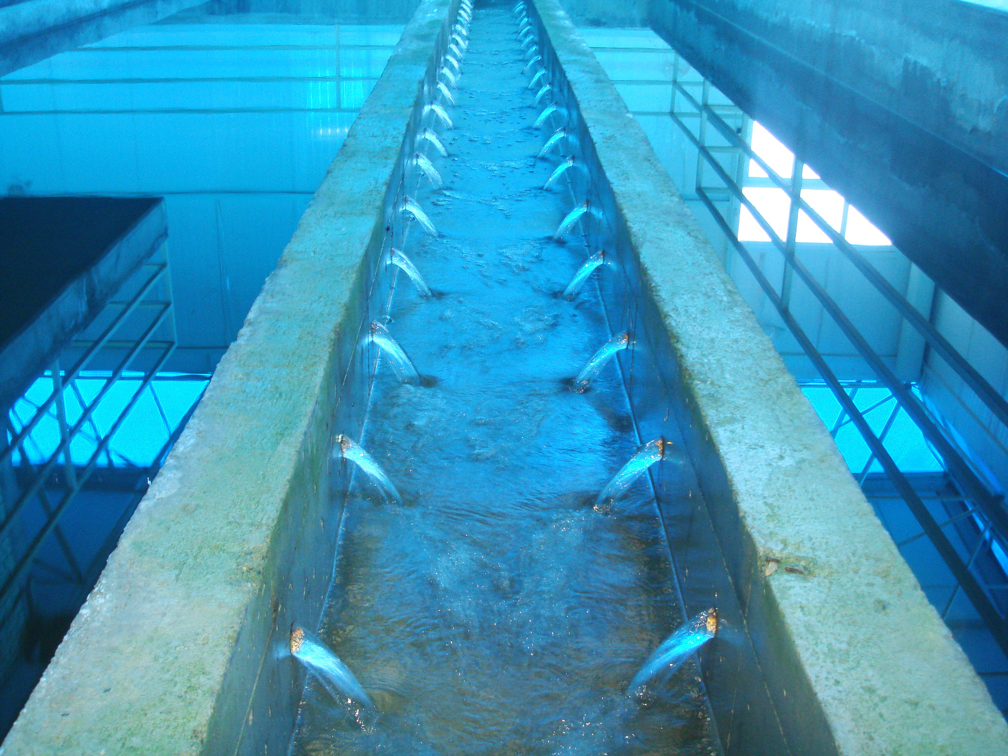 تهیه، حمل، نصب و راهاندازی تجهیزات مکانیکی، برقی، کنترل و ابزار دقیق تصفیهخانه آب ماکو